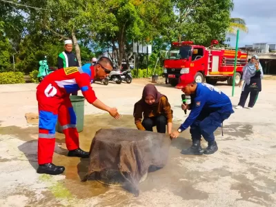 WhatsApp Image 2025-04-29 at 07